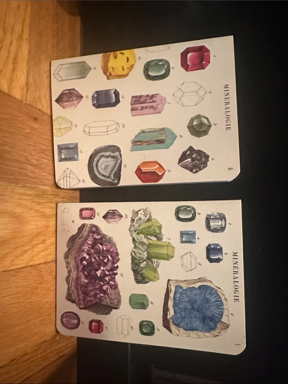 Mineralogie Gemstone Notebook Set — Illustrated Crystal Covers